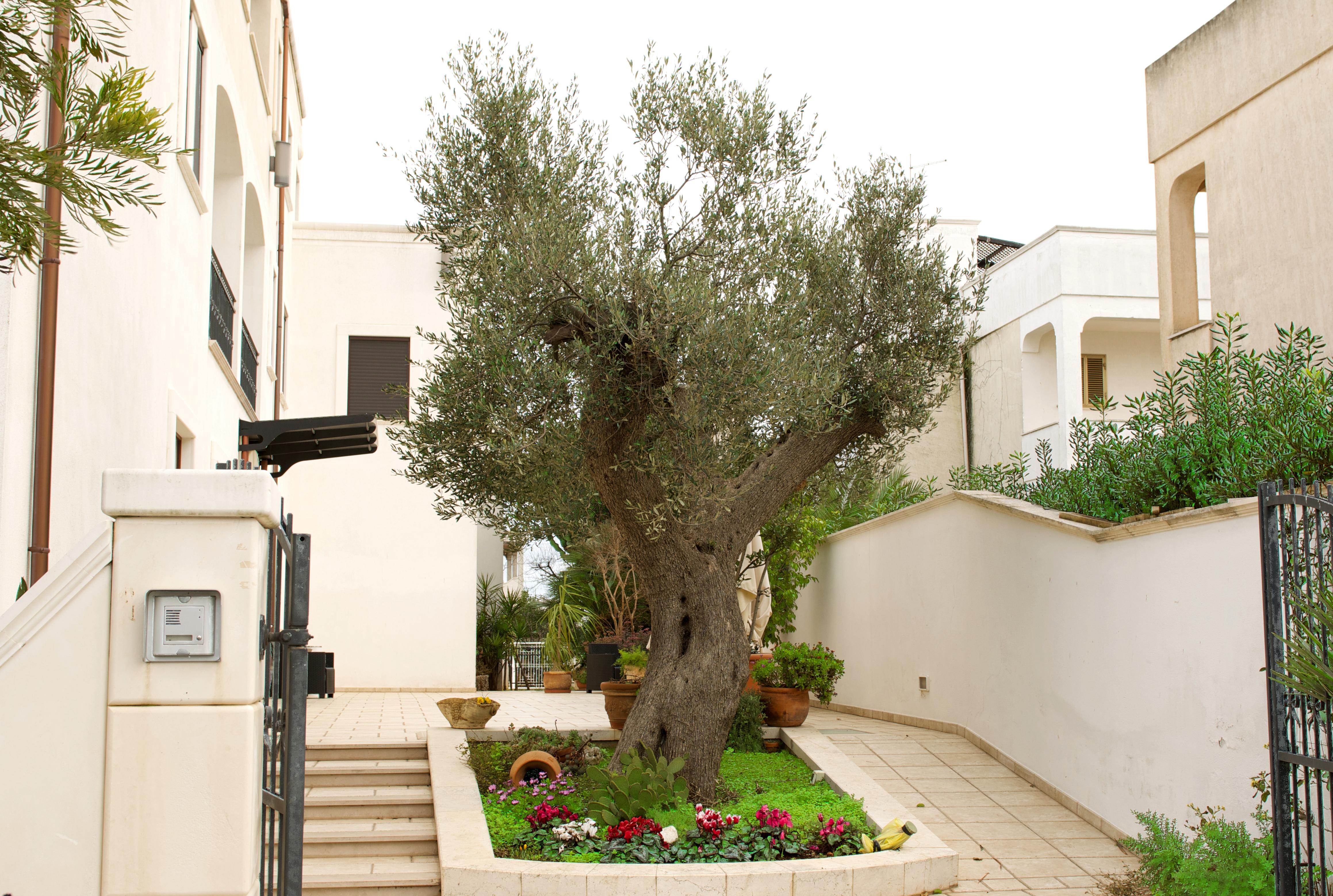 Hotel Victoria Torre Santa Sabina Extérieur photo